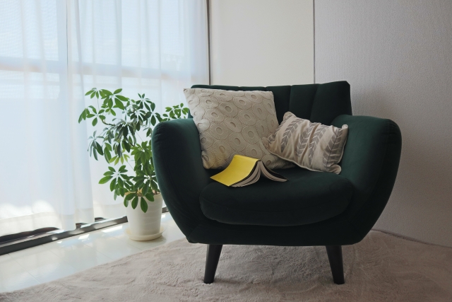 sofa book room
